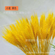 �ɻ�����Ⱦ�� ���SȾɫ�� �ɻ����S��� ���Sɫ��