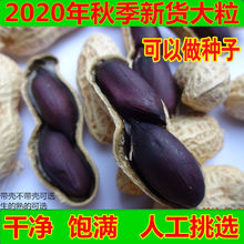 �ڻ�����؛�������ϻ����N��ʳ��������x����M�ɺ�Ƥ����