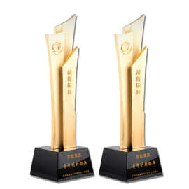 创意奖杯定制金属奖杯制做年会颁奖比赛纪念礼品摆件工艺品合金