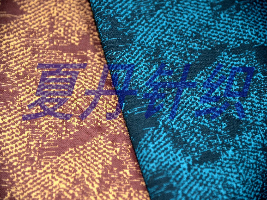 ������58.6��41.4˫���Ứ����PIMA�ޣ�������BCI�޻�ĵ����Ứ