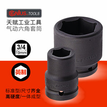 ���x����19mm�M������Ӣ����Ͳ3/4���L�ڰ��ּӺ����������^