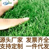 仿真草坪人造草坪幼儿园户外人造地毯草足球场人工塑料假草皮批发|ms