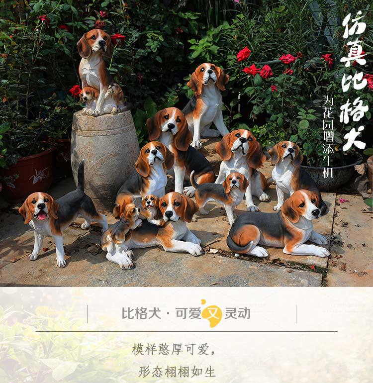 比格犬_01.jpg