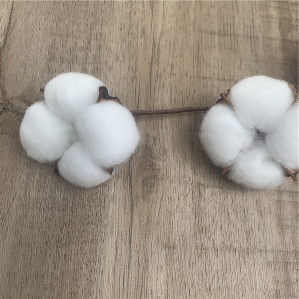 Eternal cotton dried flower art 6 single branches of simulation…