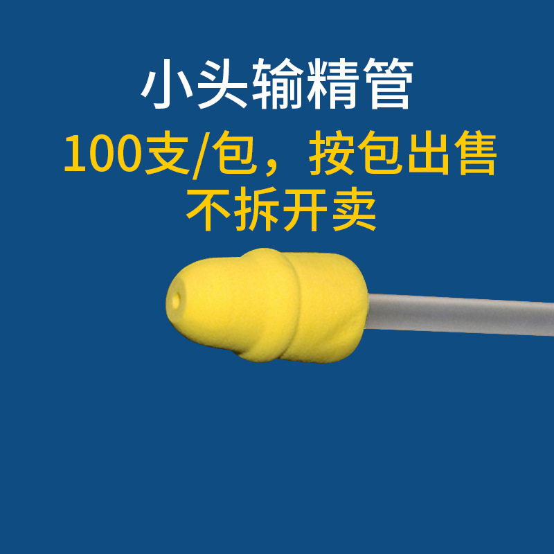 Cabeza pequeña de los conductos deferentes