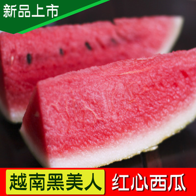 广西应季水果新鲜黑美人西瓜非8424麒麟瓜无籽瓜单个7斤包邮