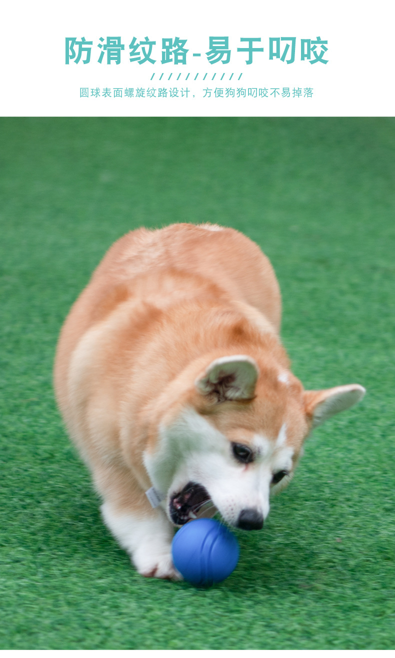 宠物球_07.jpg