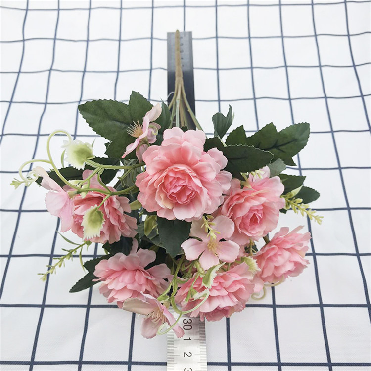 7头南方牡丹-主_12 (7).jpg