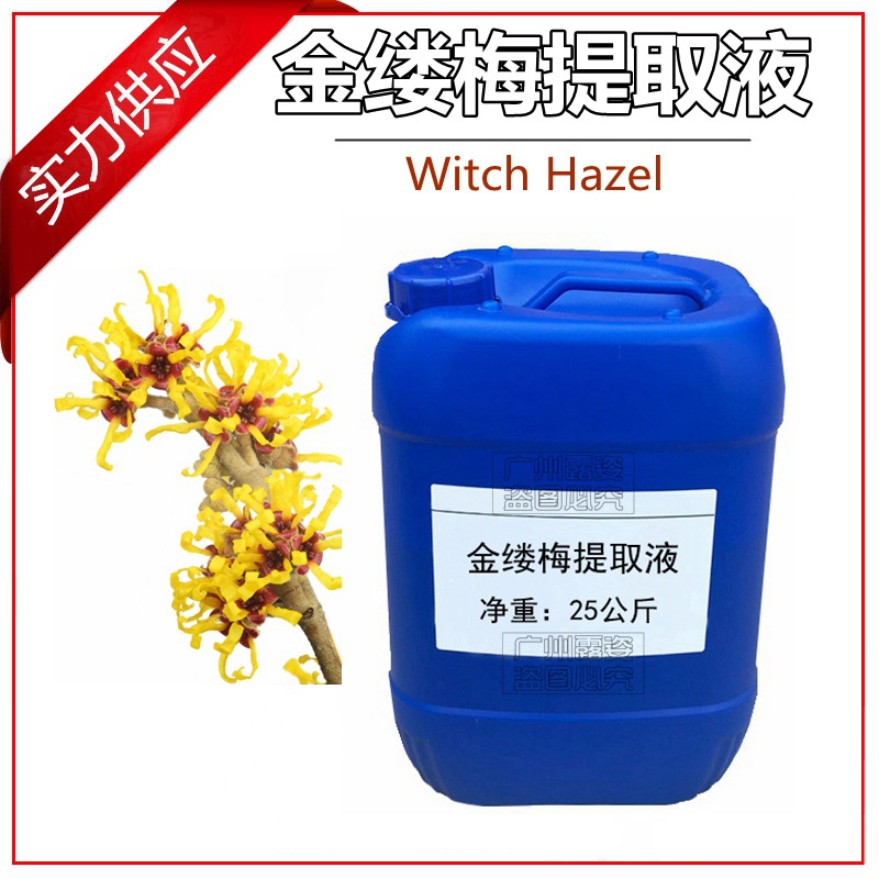 批发 金缕梅提取液 金缕梅萃取液 无色透明液体 金缕梅提取物 1KG