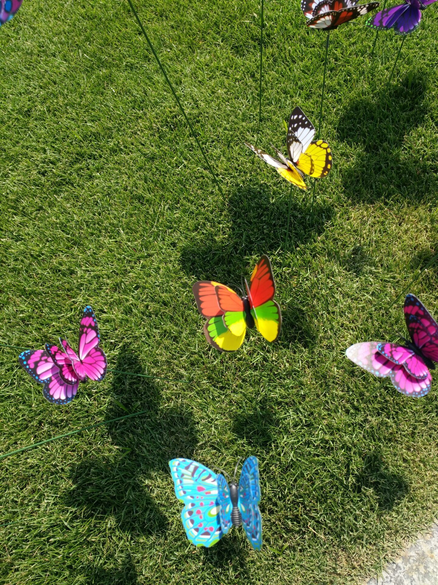 QQ图片20200506120451