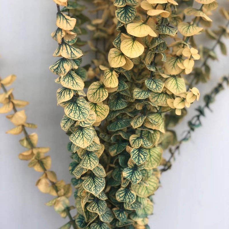 微信图片_20200408215921