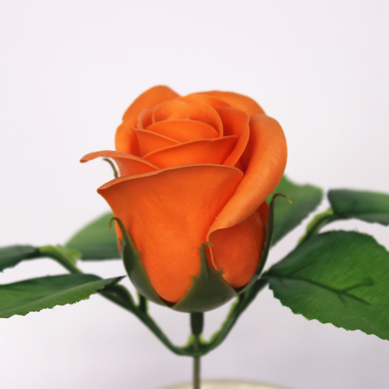 一键复制_20200227134219