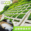 [Aquasorb]soil Moisture Drought Improver wholesale Forestry Agriculture Fruit tree side slope green Aquasorb