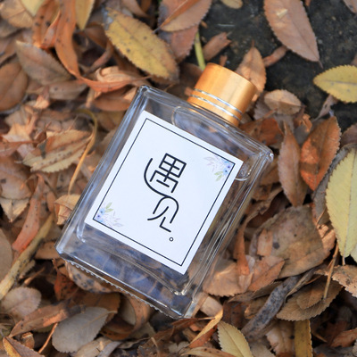 定制二兩白酒玻璃瓶精制小酒瓶100ml帶蓋空瓶50ml分裝玻璃瓶3