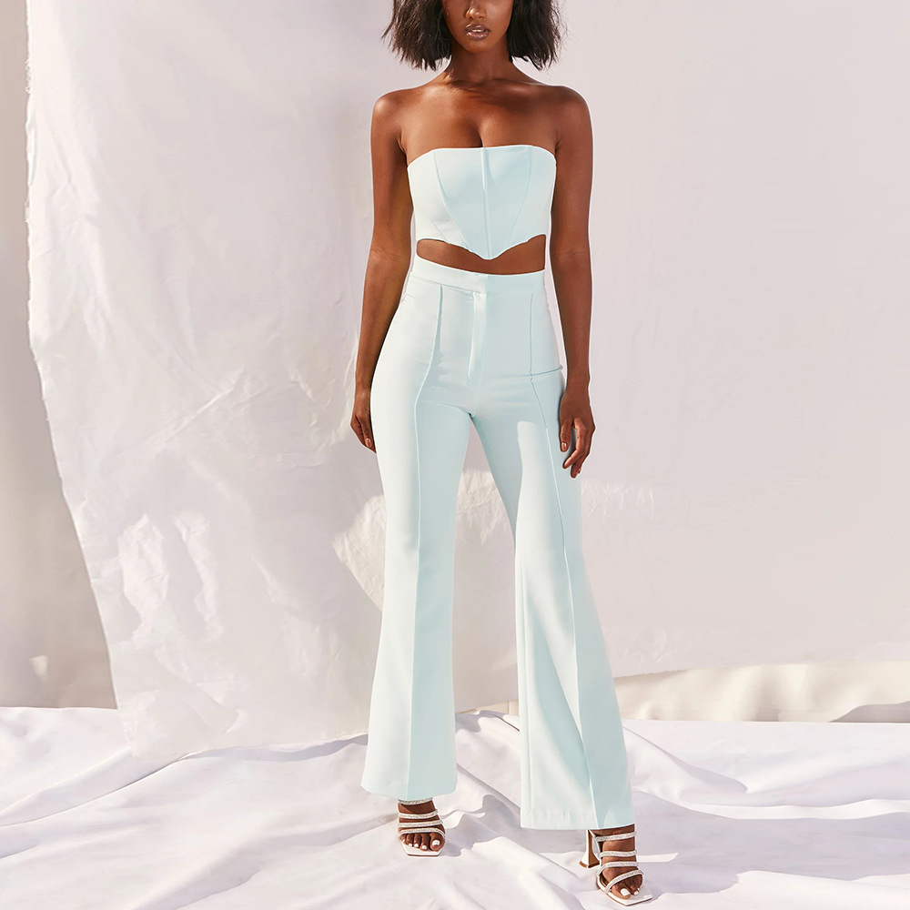 Fish Bone Tube Top Solid Color Top Wide-Leg Pants 2 Piece Suit NSLBK108303