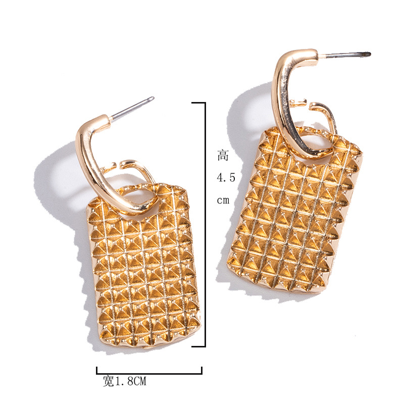 Simple Exaggerated New Fashion Earrings display picture 1