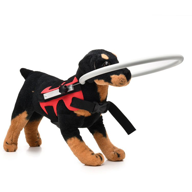 无题目录 09631.JPG