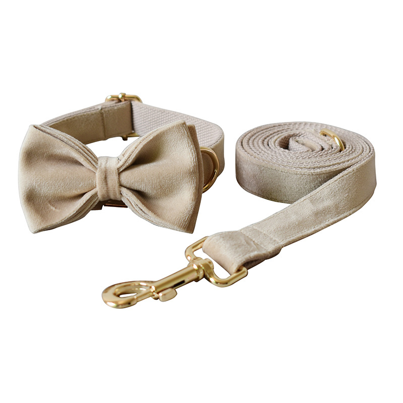 Mint Green Dog Collar Leash