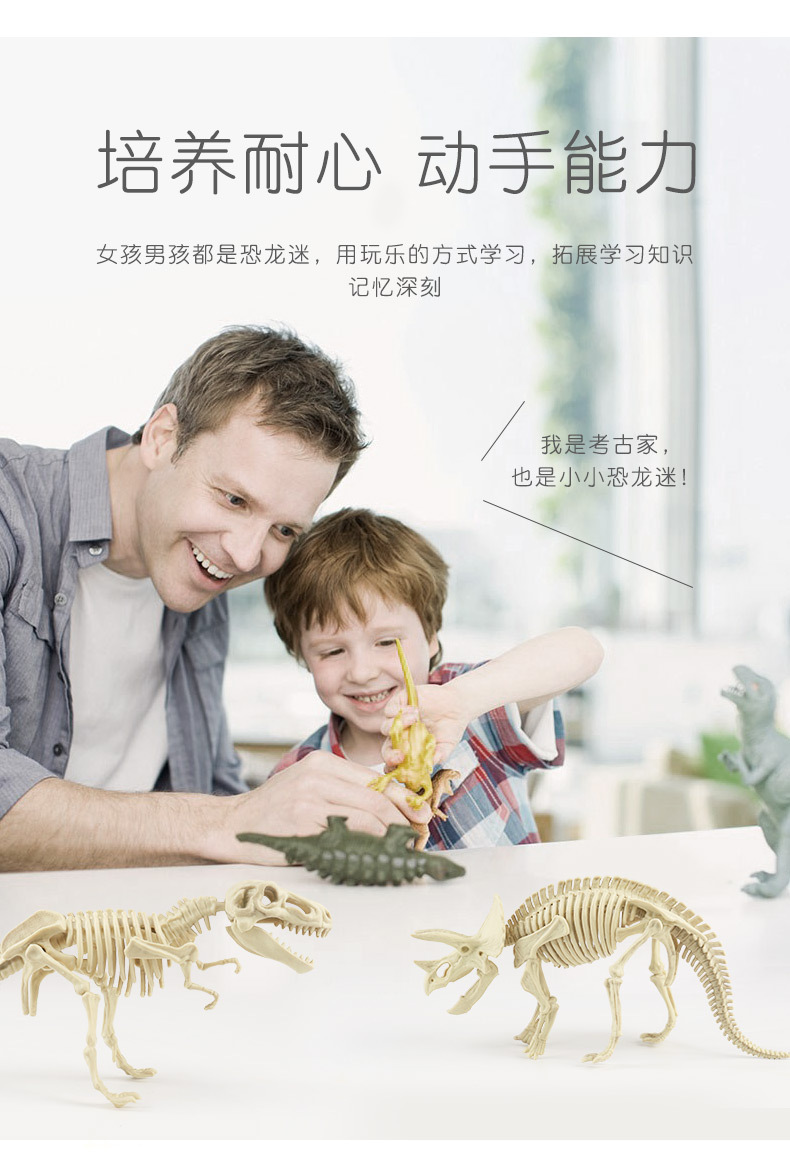 考古恐龙玩具详情上_06.jpg