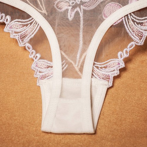 European and American mesh fully transparent embroidered sexy women's underwear temptation T pants women's thong women 3026