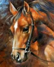 �S�����l�A荝M��ʯ��diy�E�R�R�^�ʯ��ʮ�ֽ�