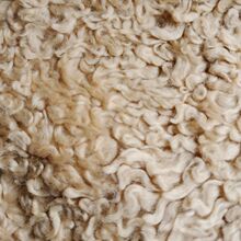 ����ë�q ë�q������� ��ë�� ��ë������ ����ëƤ