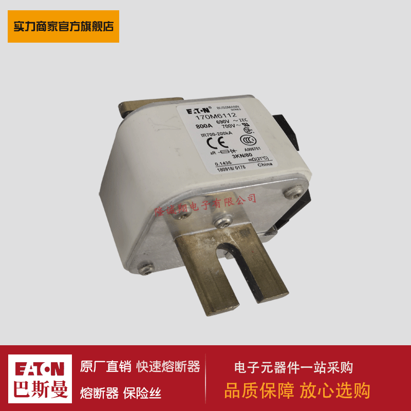 熔断器170M6111 170M6112 170M6113 170M6114 170M6115 170M6116