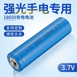 手电筒;头灯头戴电筒;提灯