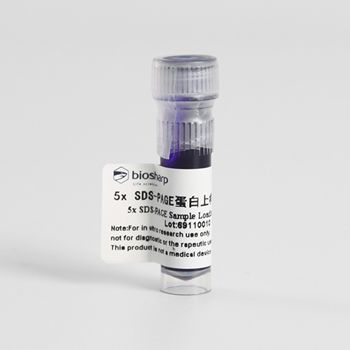 biosharp BL511A 5x SDS-PAGE蛋白上样缓冲液（变性非还原性）