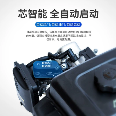 Electric vehicle range extender 48V battery car 60V72 volt variable frequency tricycle four-wheel battery car generator (Avtomobil generatorları)