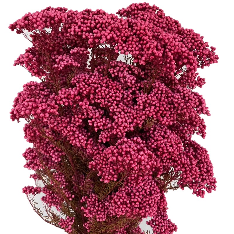 微信图片_20200408183300