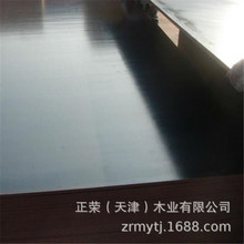廊坊厂家销售建筑模板48尺黑色覆膜模板 镜面竹胶板 桥梁板