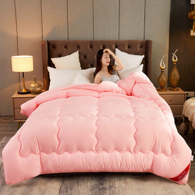 秋冬被芯加厚棉被厂家直销双人春秋被学生被子酒店被礼品被批发|ru