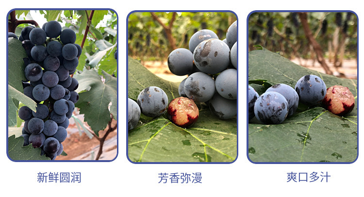 7951ca6da34a9af85cf3737e79a791