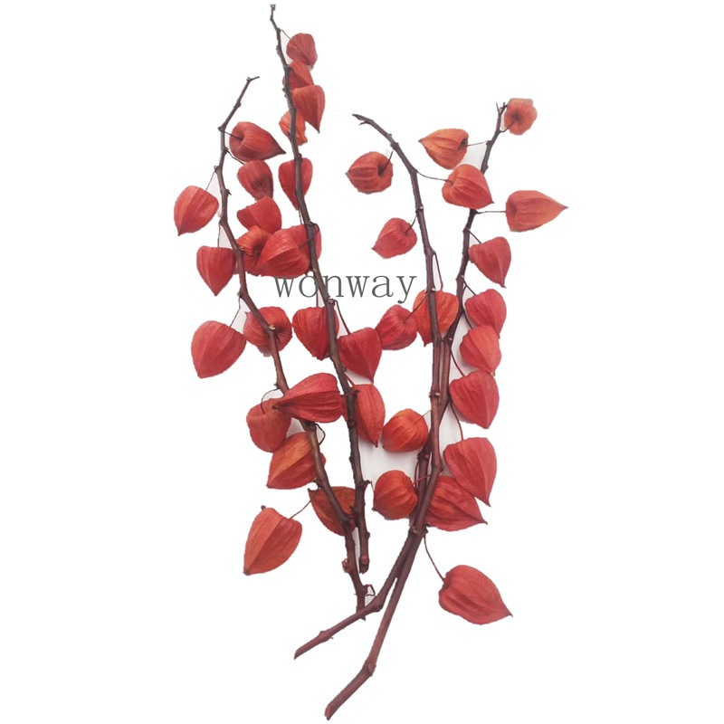 微信图片_20200422224022