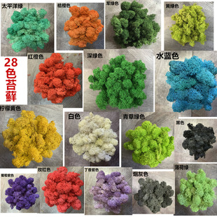 �����ϰ�̦�\DIY�������Ϸ���̦�\�����Gֲ����̦��ƺ̦�\�b�