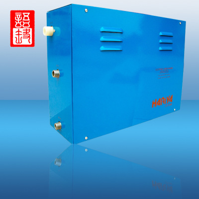 HARIYA哈丽雅蒸汽机熏蒸机 桑拿汗蒸房设备 高温湿蒸蒸气机|ru