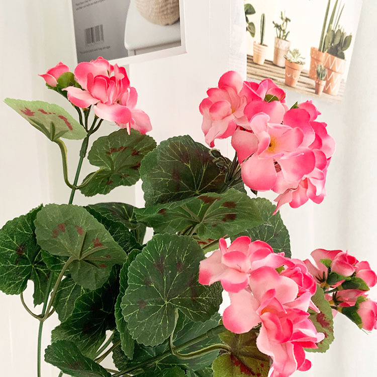 IMG_2134(20200527-094733)_wps图