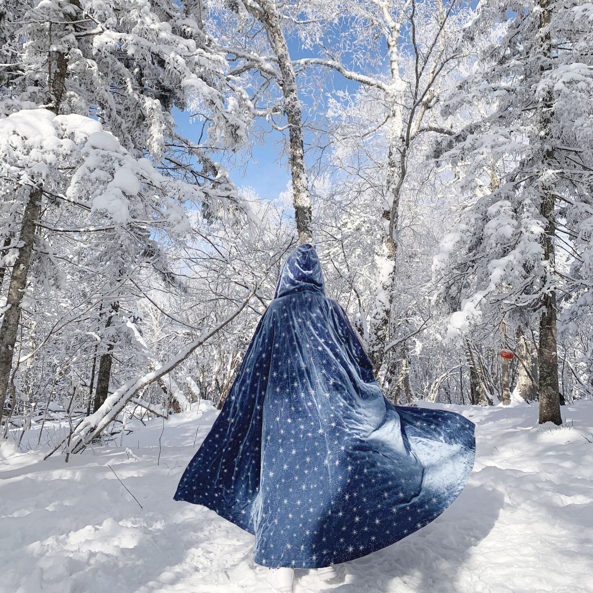 2021女装加厚冬季保暖拼接长款冰雪女王丝绒披肩连帽斗篷F668