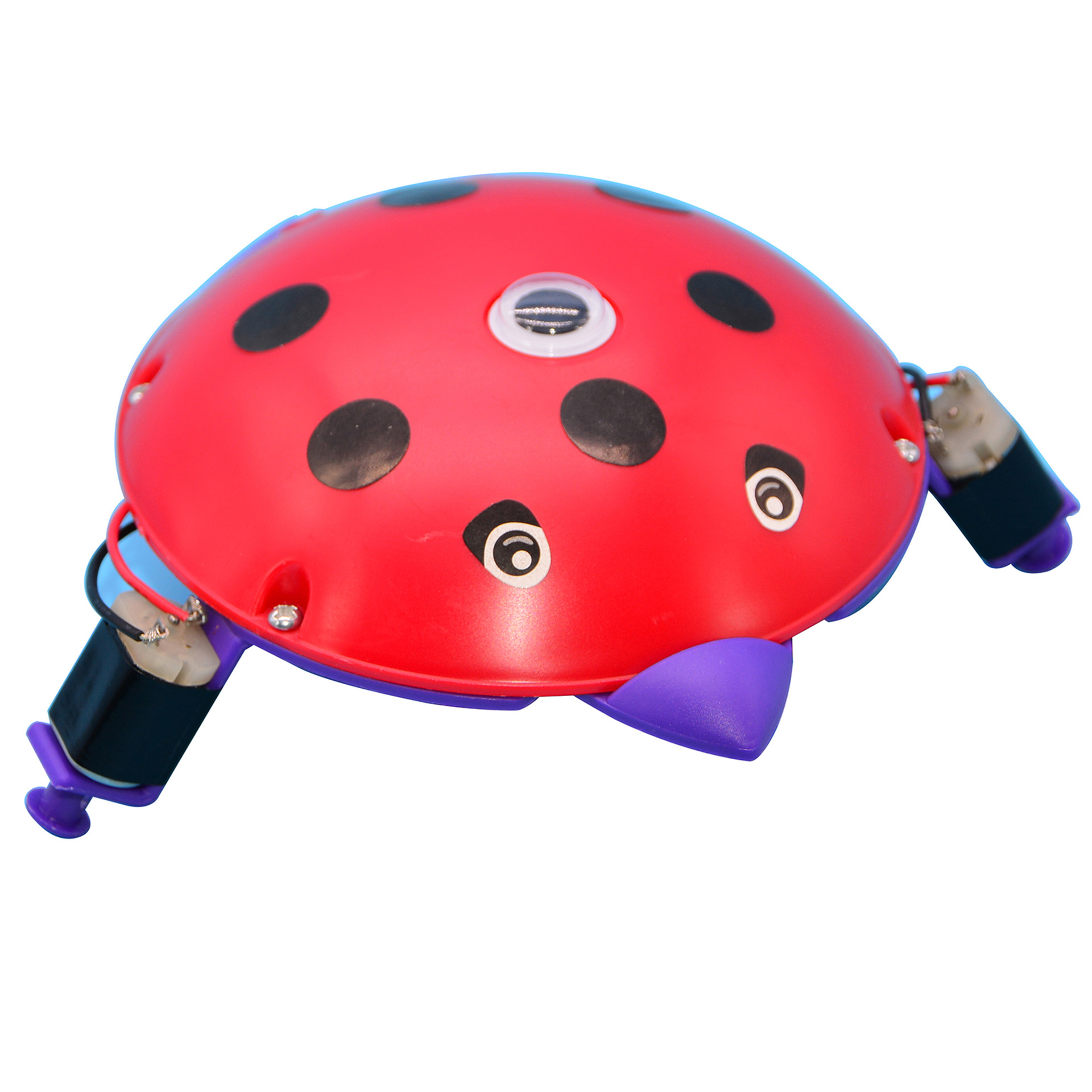 KX2007 电动小乌龟 主图 1比1 (2)