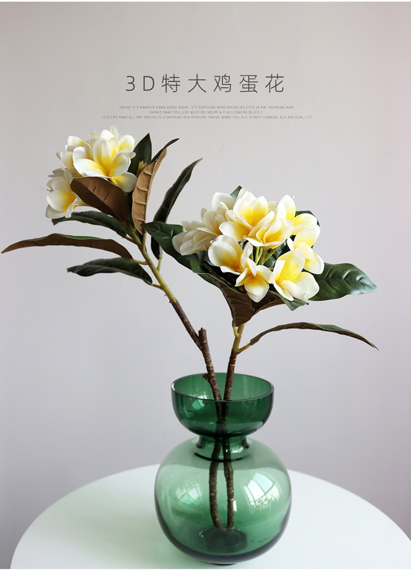 plumeria1.jpg