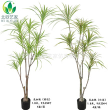 ������Ѫ����F����ط���Gֲ�F���҃Ⱥ��s�b���ǧ��ľ��Ѫ�F