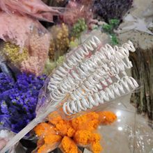 ݽzɻȻDIYֹˇcbYֲֹ