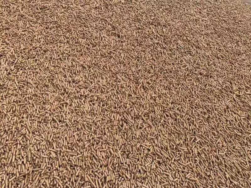 35e3403e38dc3b87690d714e4df372