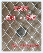 �����W �~�W ���W �B�~�W����ܛ ��ɫ �tɫ ̧�W �����W ���o�W