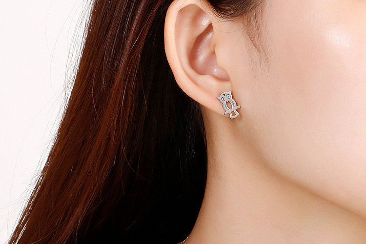 Womenu0027s Creative Hollow Owl Necklace Stainless Steel Earrings Necklace Set AliExpress Foreign Tr