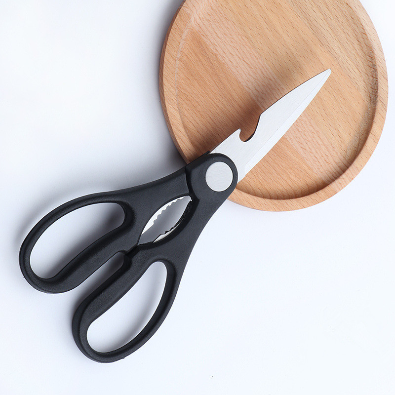 8619931597_2119555270