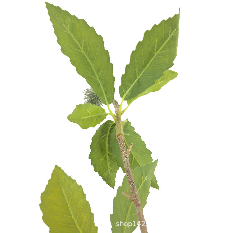 XRB-132 锯齿佛塔叶6.jpg