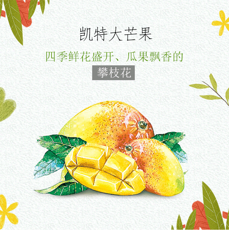 1.jpg?x-oss-process=image/format,png