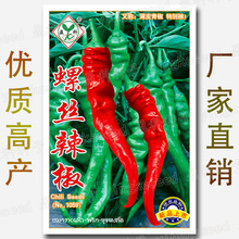 厂家大量批发香辣螺丝椒种子皱皮辣椒种子猪大肠春季菜园蔬菜种籽